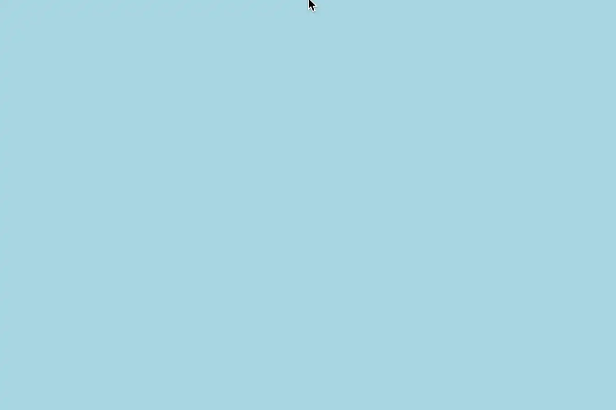 Turtle Race