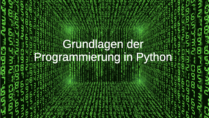 Projektwoche 2025